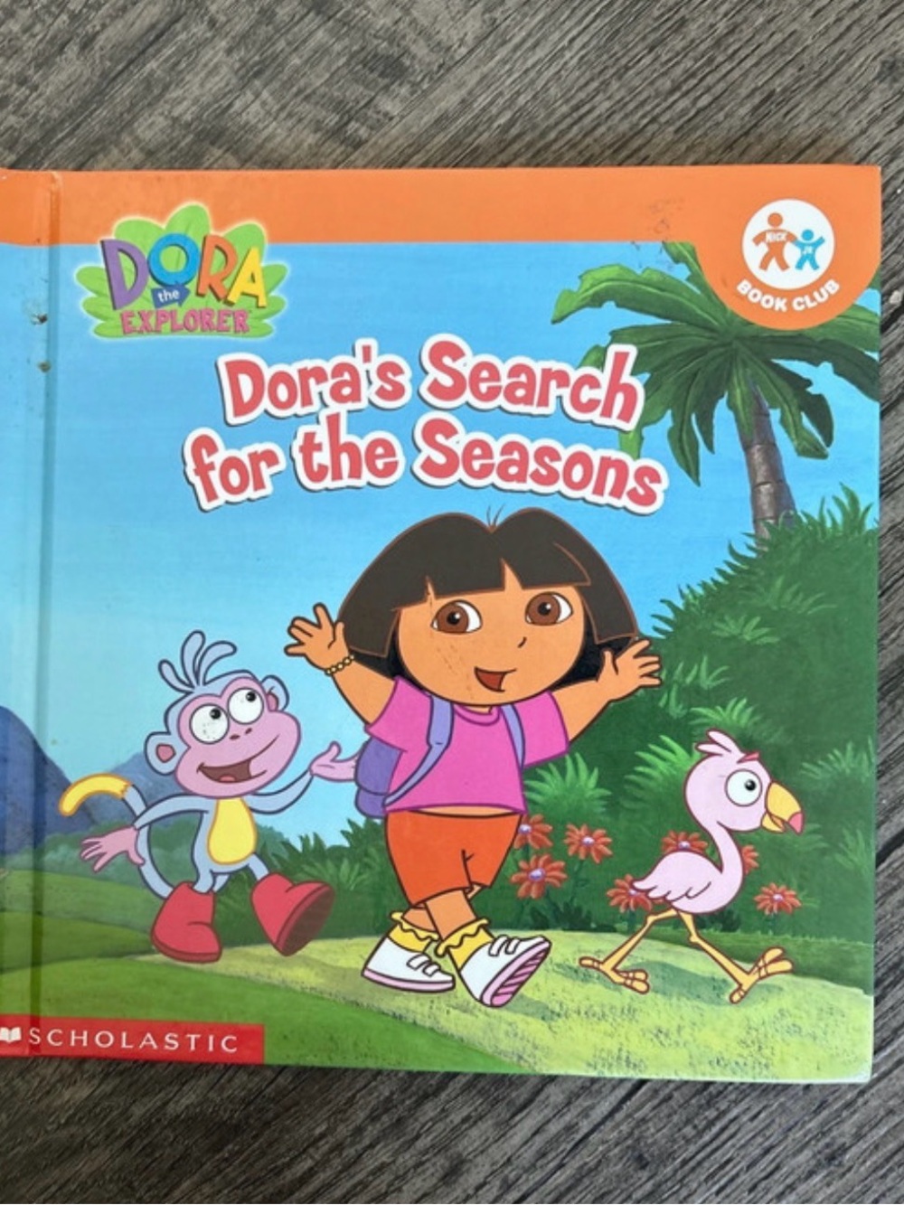 2006 Nick JR Dora the Explorer Hardcover Book Bundle